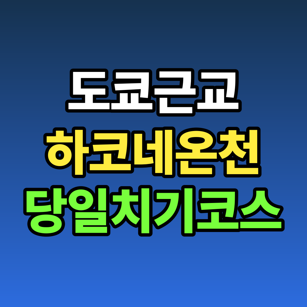 도쿄 근교 하코네 온천 당일치기 코스