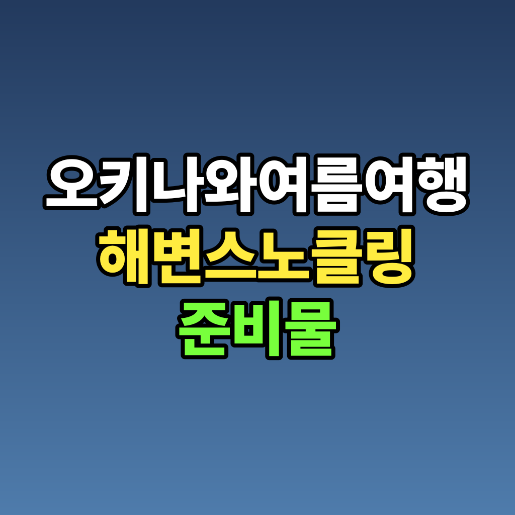 오키나와 여름 여행 해변 스노클링 준비물